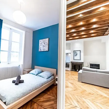 Apartman Le Ferrandiere -beau 2 Pieces-cordeliers-bellecour Lyon