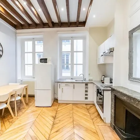 Le Ferrandiere -beau 2 Pieces-cordeliers-bellecour Lyon